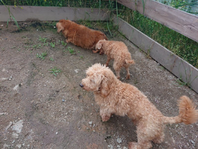 f:id:roukenhome-ann:20190611182837j:plain