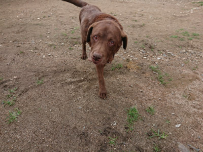 f:id:roukenhome-ann:20190611182842j:plain