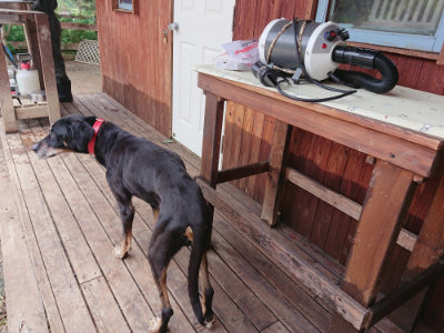 f:id:roukenhome-ann:20190611182849j:plain