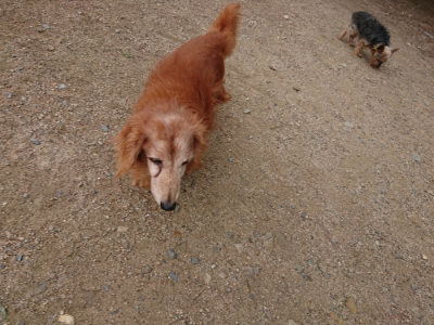 f:id:roukenhome-ann:20190611182855j:plain