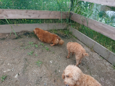 f:id:roukenhome-ann:20190611182900j:plain