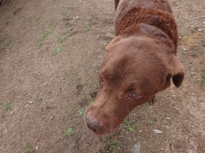 f:id:roukenhome-ann:20190611182910j:plain