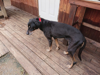 f:id:roukenhome-ann:20190611182916j:plain