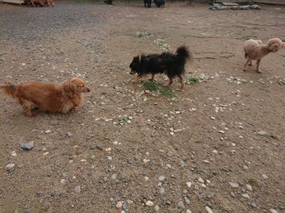 f:id:roukenhome-ann:20190611182921j:plain