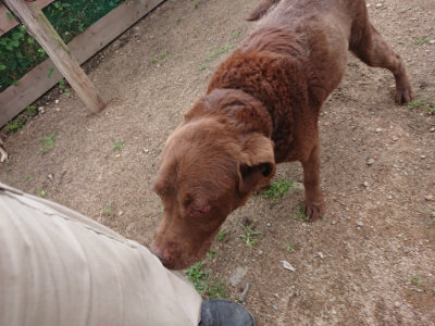 f:id:roukenhome-ann:20190611182938j:plain