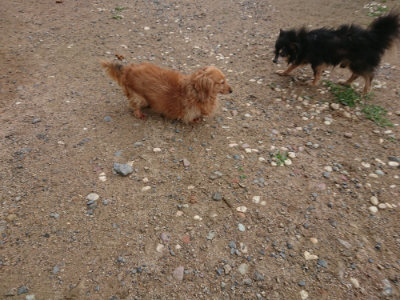 f:id:roukenhome-ann:20190611182945j:plain