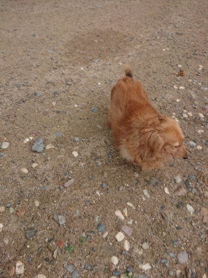 f:id:roukenhome-ann:20190611183014j:plain