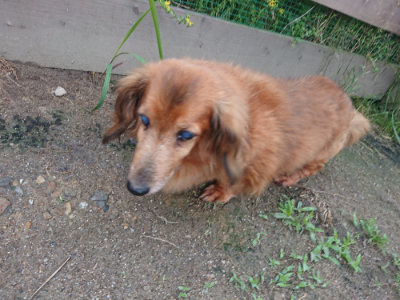 f:id:roukenhome-ann:20190611183019j:plain