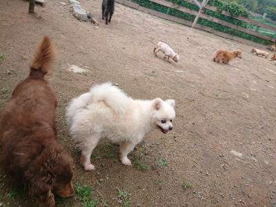 f:id:roukenhome-ann:20190611183032j:plain