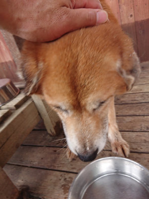 f:id:roukenhome-ann:20190611184559j:plain