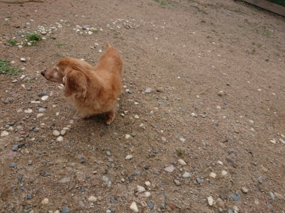 f:id:roukenhome-ann:20190611184605j:plain