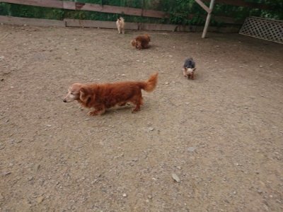 f:id:roukenhome-ann:20190611184611j:plain