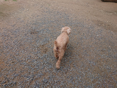 f:id:roukenhome-ann:20190611184616j:plain