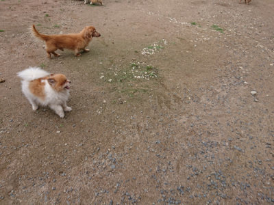 f:id:roukenhome-ann:20190611184622j:plain