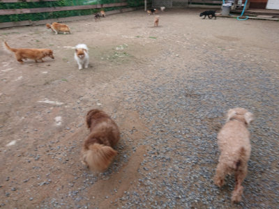 f:id:roukenhome-ann:20190611184644j:plain