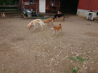 f:id:roukenhome-ann:20190611184654j:plain