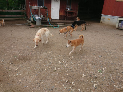 f:id:roukenhome-ann:20190611184659j:plain