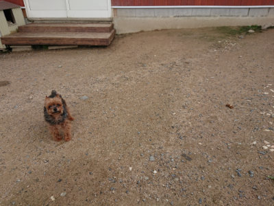 f:id:roukenhome-ann:20190611184728j:plain