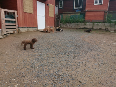 f:id:roukenhome-ann:20190611184733j:plain