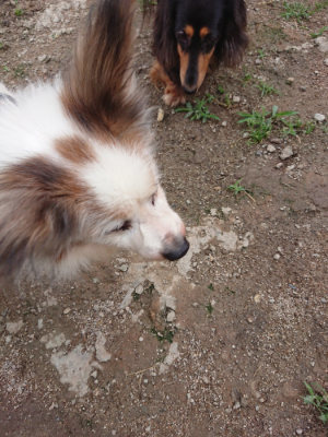 f:id:roukenhome-ann:20190611184748j:plain