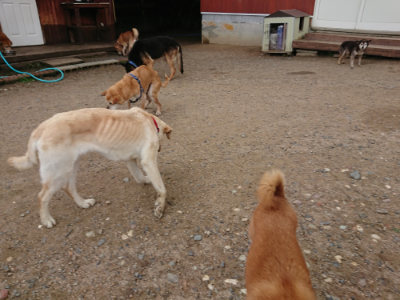 f:id:roukenhome-ann:20190611184757j:plain