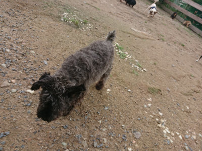 f:id:roukenhome-ann:20190611184802j:plain