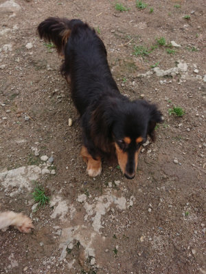 f:id:roukenhome-ann:20190611184808j:plain