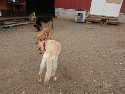 f:id:roukenhome-ann:20190611184813j:plain