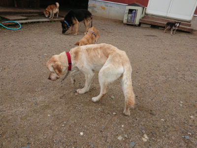 f:id:roukenhome-ann:20190611184820j:plain