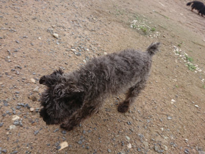 f:id:roukenhome-ann:20190611184827j:plain