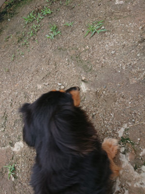 f:id:roukenhome-ann:20190611184833j:plain