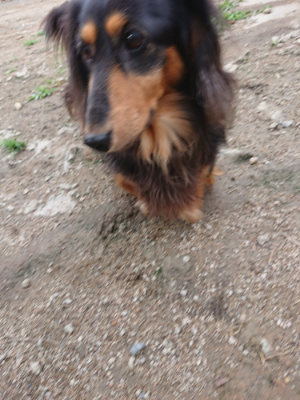 f:id:roukenhome-ann:20190611184839j:plain