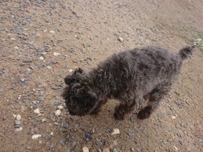 f:id:roukenhome-ann:20190611184851j:plain