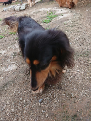 f:id:roukenhome-ann:20190611184902j:plain