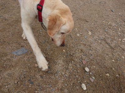 f:id:roukenhome-ann:20190611184909j:plain