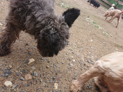 f:id:roukenhome-ann:20190611184915j:plain