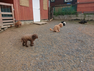 f:id:roukenhome-ann:20190611184921j:plain