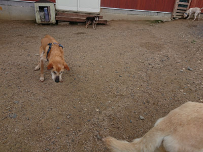 f:id:roukenhome-ann:20190611184939j:plain