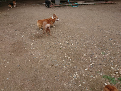 f:id:roukenhome-ann:20190611184949j:plain