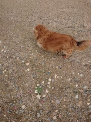 f:id:roukenhome-ann:20190611184954j:plain