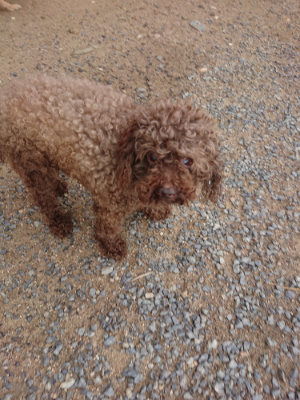 f:id:roukenhome-ann:20190611185001j:plain