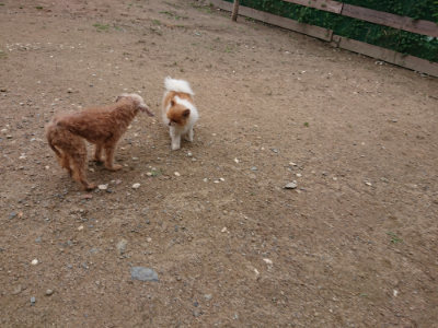 f:id:roukenhome-ann:20190611185021j:plain