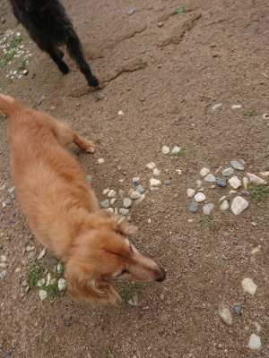 f:id:roukenhome-ann:20190611185032j:plain