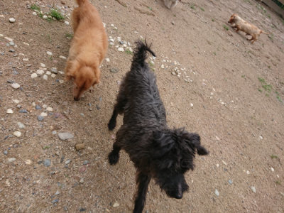 f:id:roukenhome-ann:20190611185048j:plain