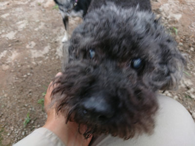 f:id:roukenhome-ann:20190611185058j:plain