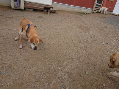 f:id:roukenhome-ann:20190611185104j:plain