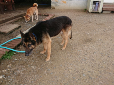 f:id:roukenhome-ann:20190611185113j:plain