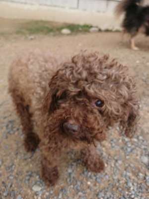 f:id:roukenhome-ann:20190611185117j:plain