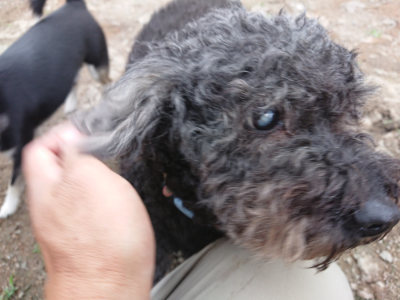 f:id:roukenhome-ann:20190611185128j:plain