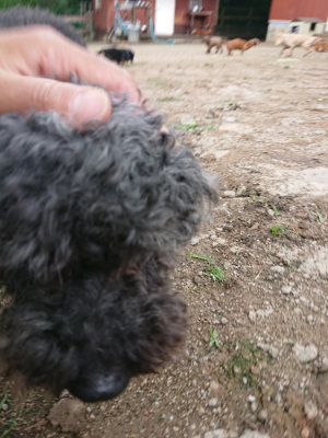 f:id:roukenhome-ann:20190611185133j:plain